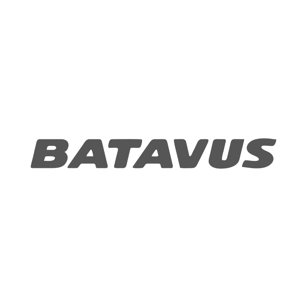 Batavus