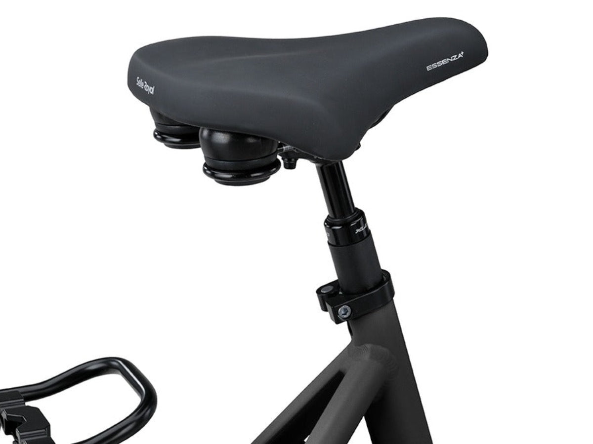 Batavus Altura PT Dames