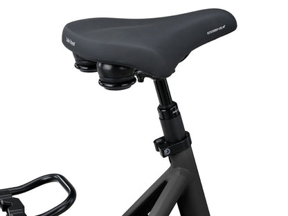 Batavus Altura PT Dames