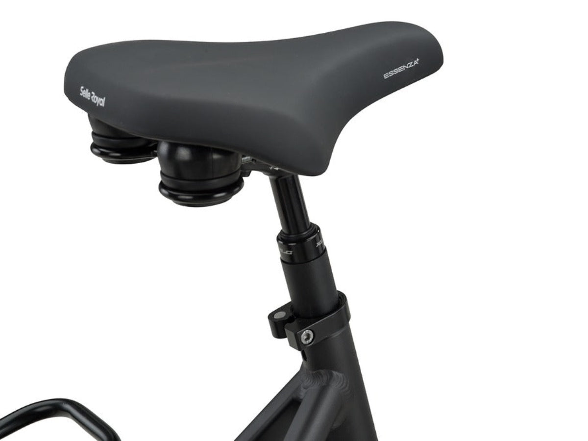 Batavus Altura PT Pro Dames