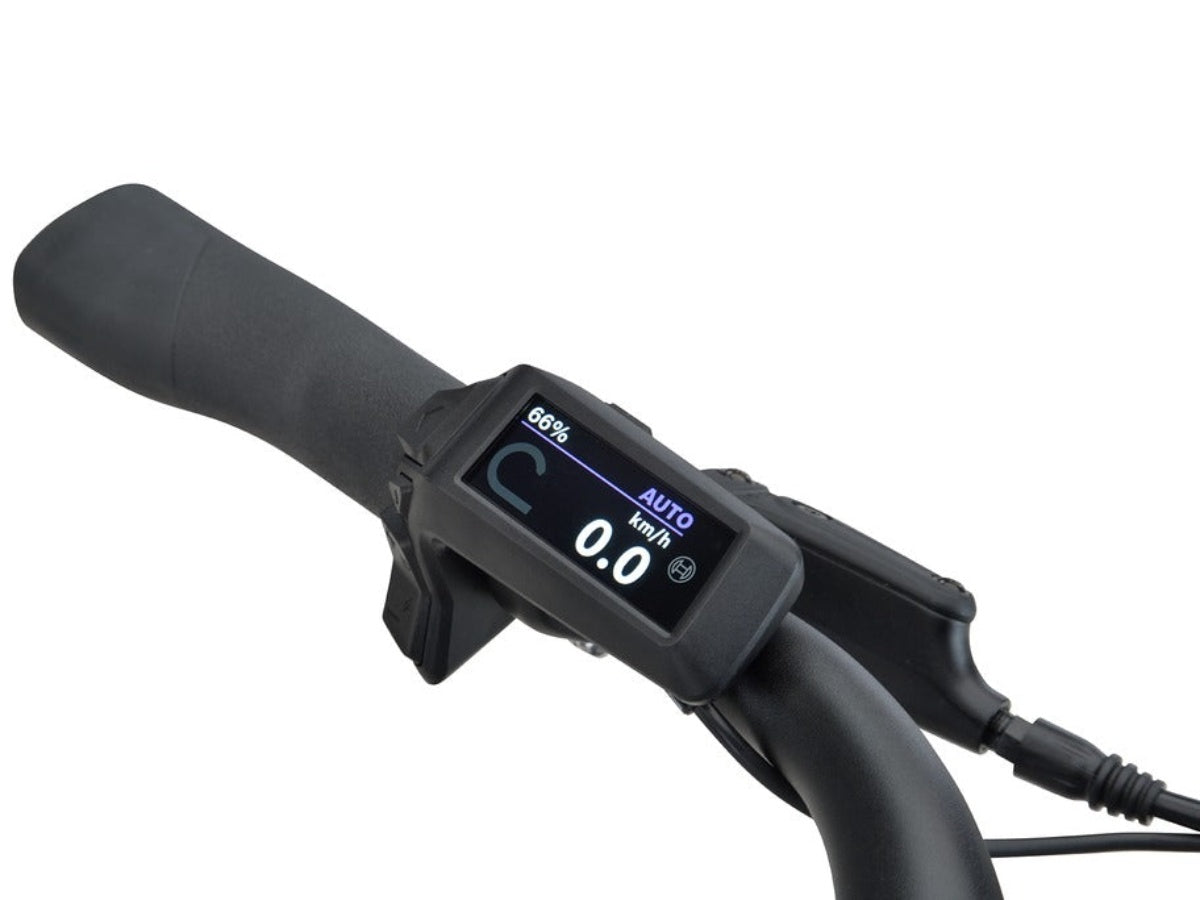 Batavus Altura PT Pro Dames