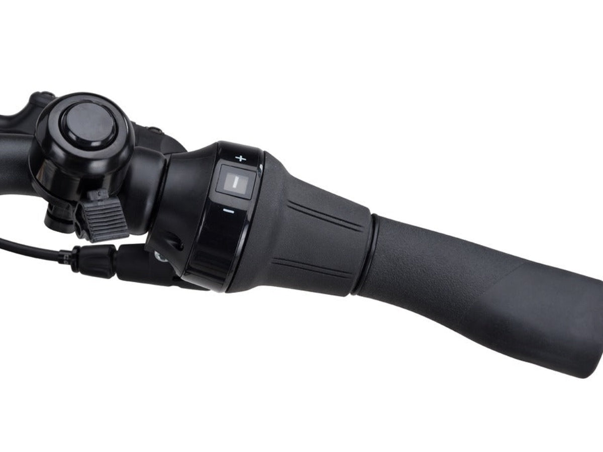 Batavus Altura PT Pro Dames
