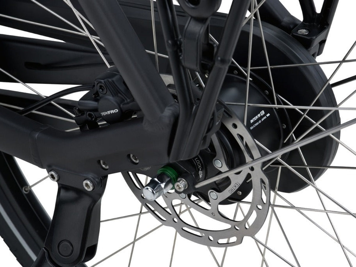 Batavus Altura PT Pro Dames