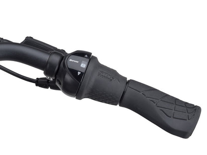 Batavus Finez PT Exclusive Dames