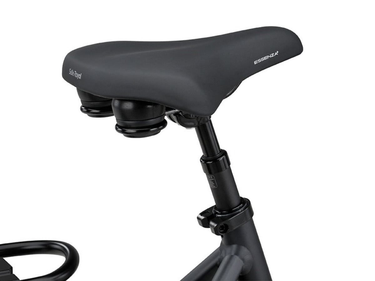 Batavus Finez PT Exclusive Dames