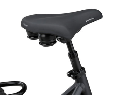Batavus Finez PT Exclusive Dames