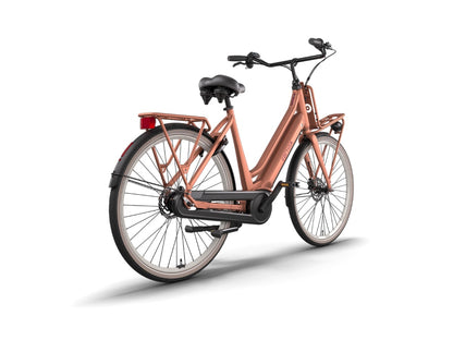 Cortina E-U4 Next AL Plus MM Dames